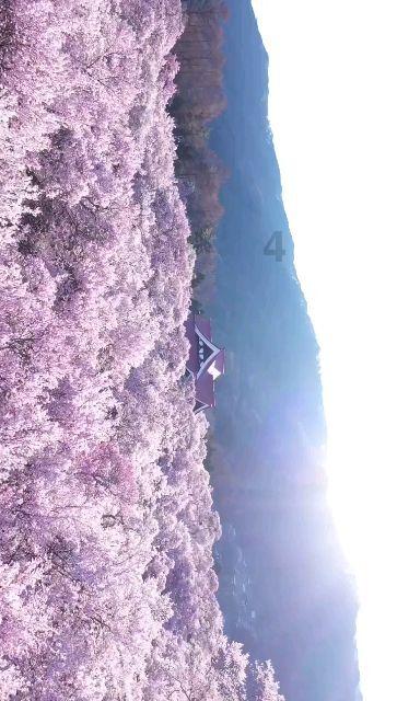 全民剧本大师内置菜单