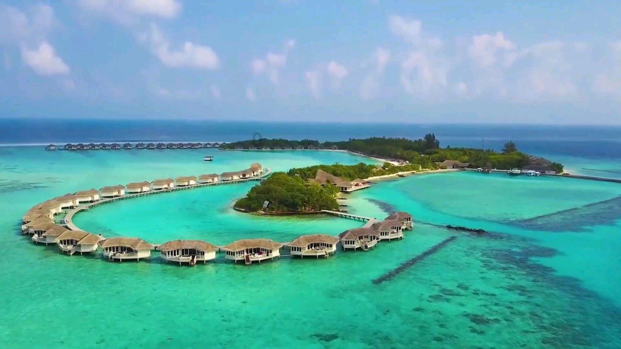 美国一群嫌犯冒充警察上门 盗走盲人女性大量财产